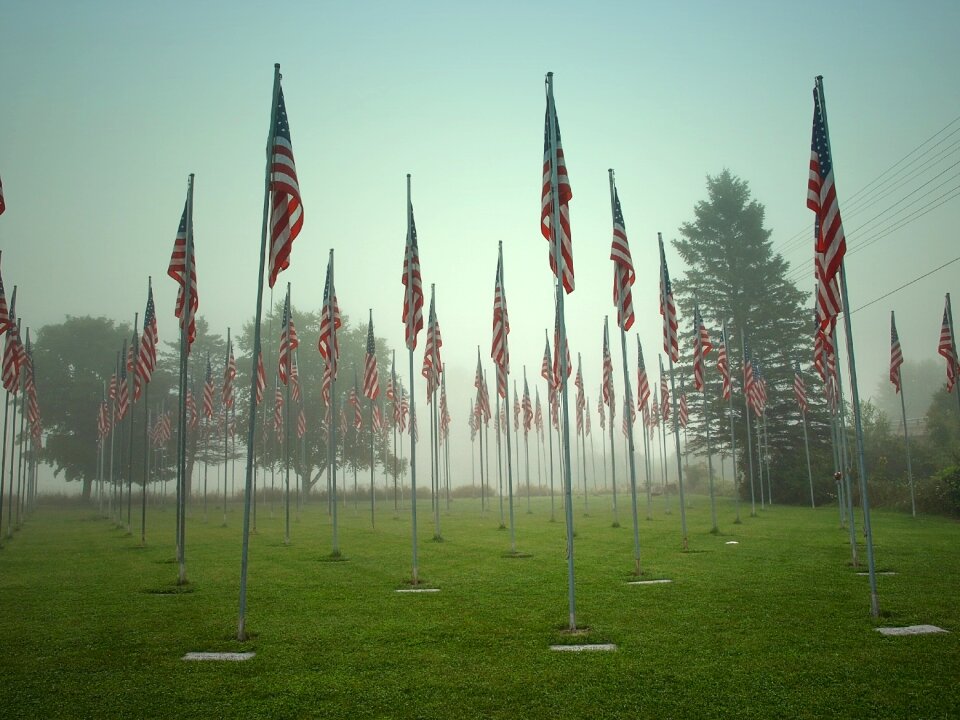 Morning fog photo