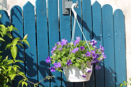 Flower barrier garden