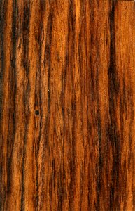 Wood wood material material photo