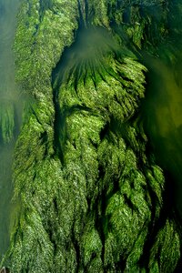 Rafting canal green