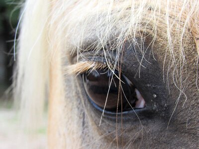Eye close-up