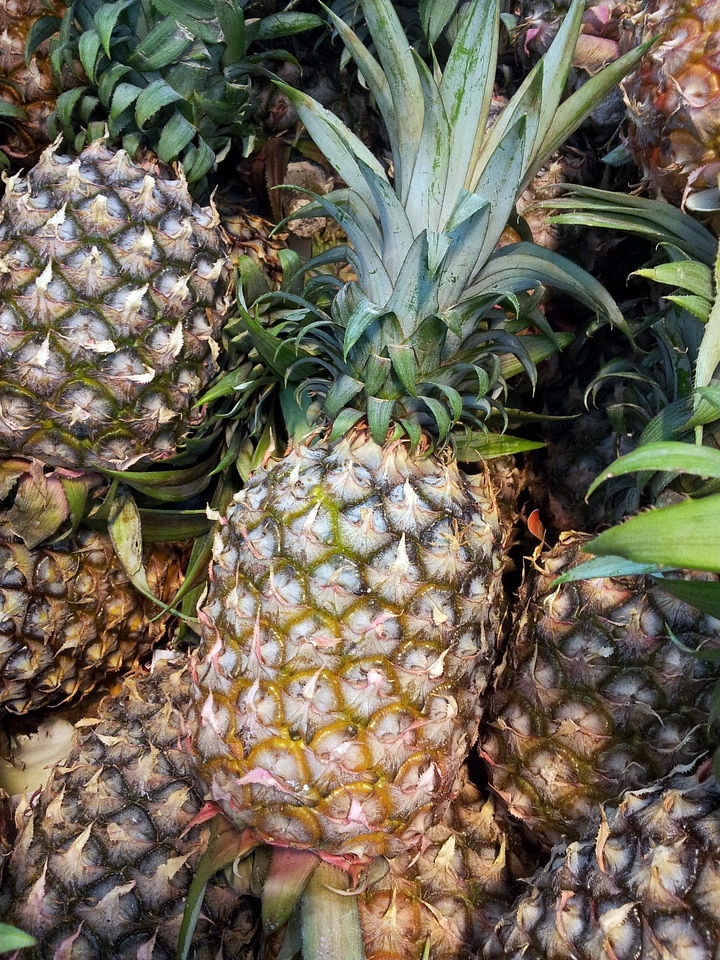 Single pine apple juicy food