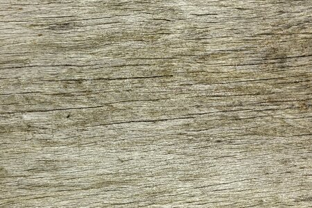 Old wood wood material texture wood