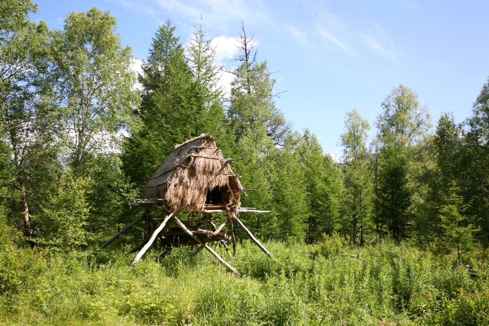 National housing summer forest
