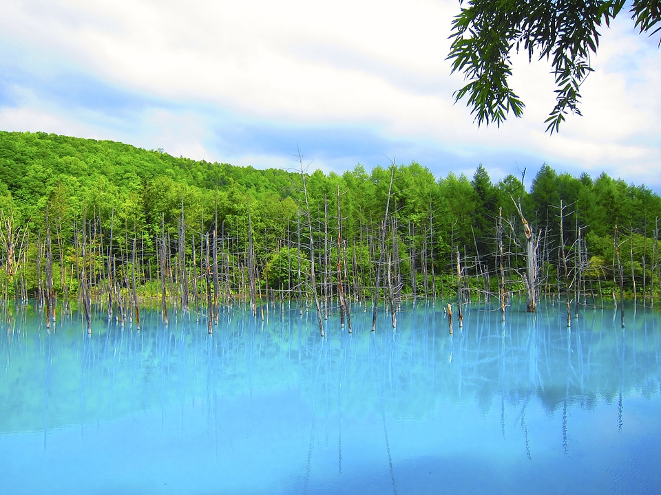 Reflection tranquil lake