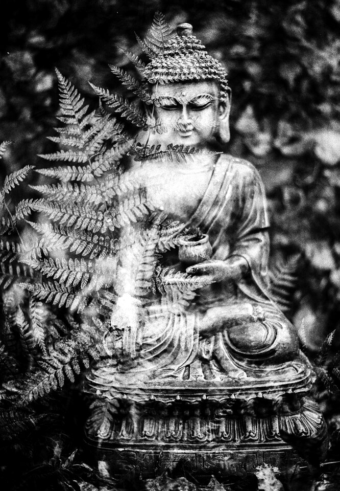 Statue buddhist oriental photo