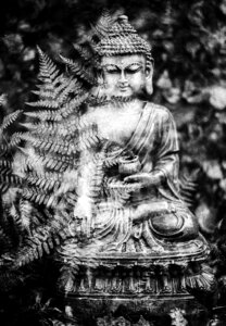 Statue buddhist oriental photo