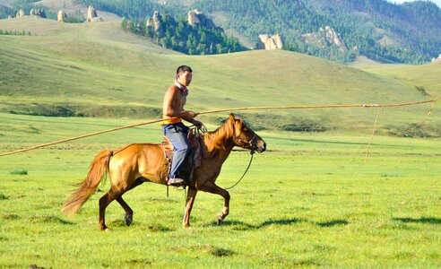 Cattleman mongolian mongolia photo