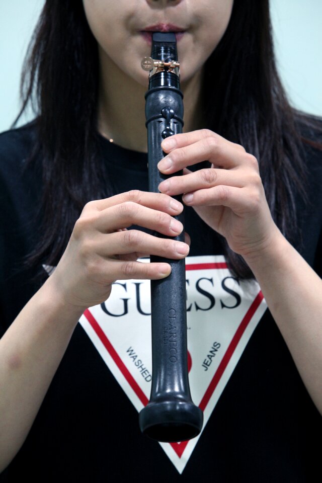 Wind hobby musicians