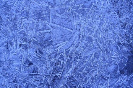 Blue frost close up photo