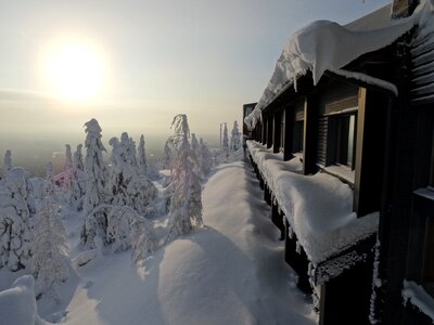 Winter snow landscape