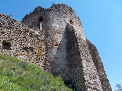 Country tree ruins