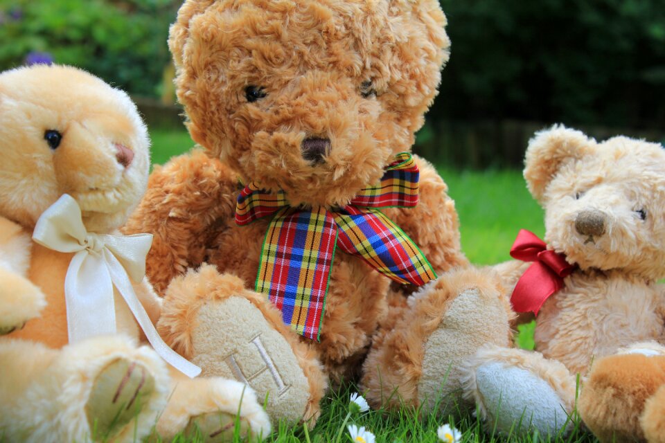Cute fur childhood