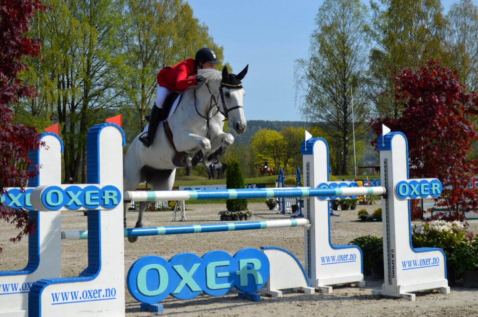 Sport competition jumping