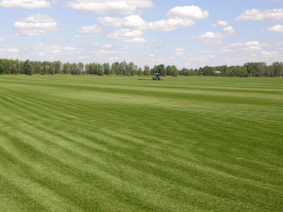 Canada farm agriculture
