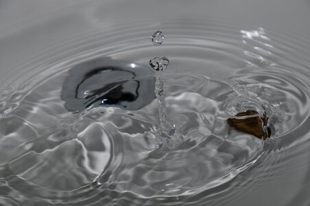 Sink household