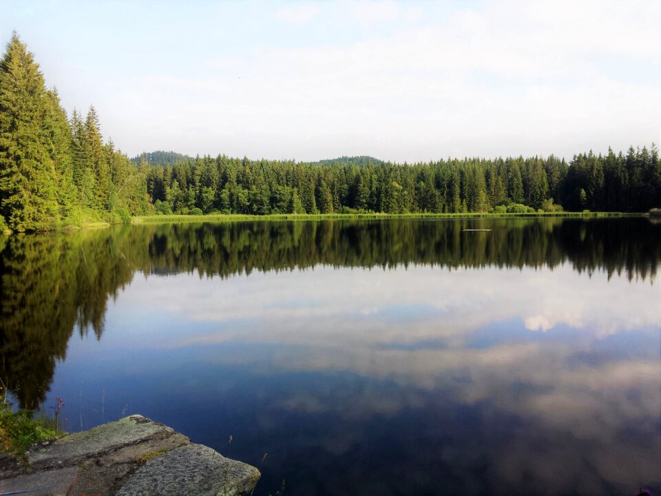 Marsh water mirroring