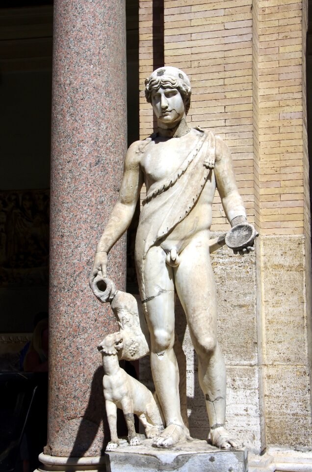Museum statue adonis