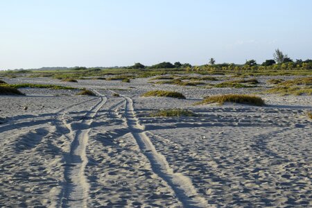Sand path footprints