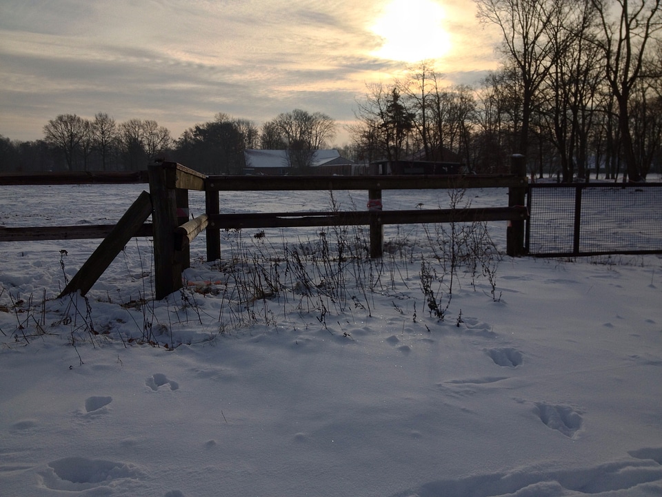 Backlighting snow landscape sunset