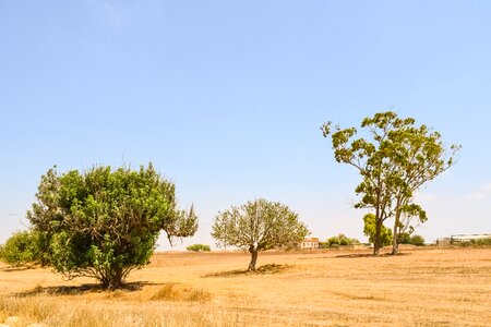 Nature rural countryside photo