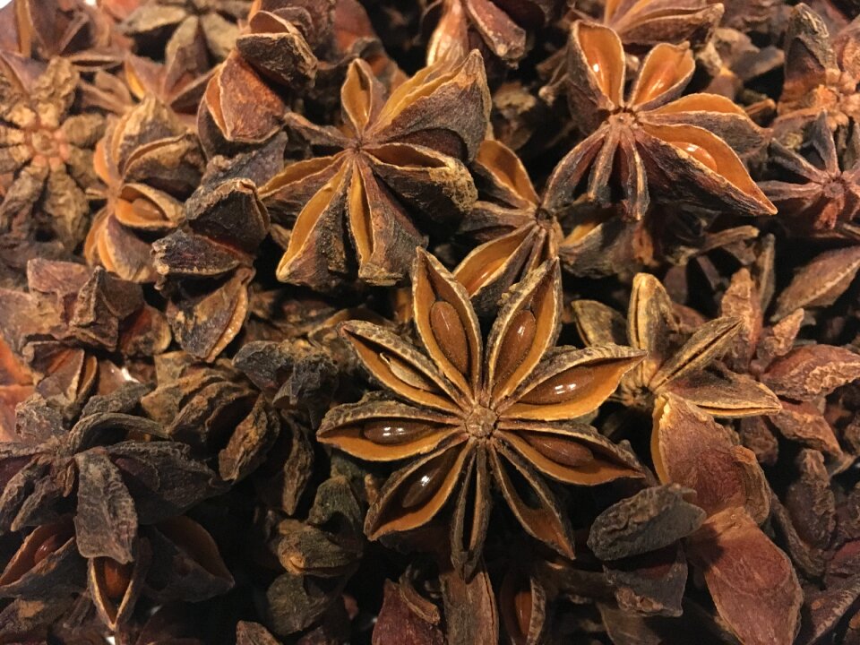 Star anise anise herbs