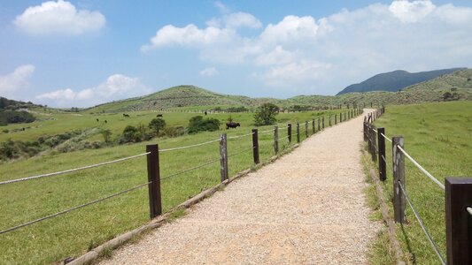 Field fences