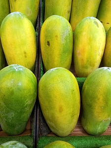 Green papaya fruit juicy photo