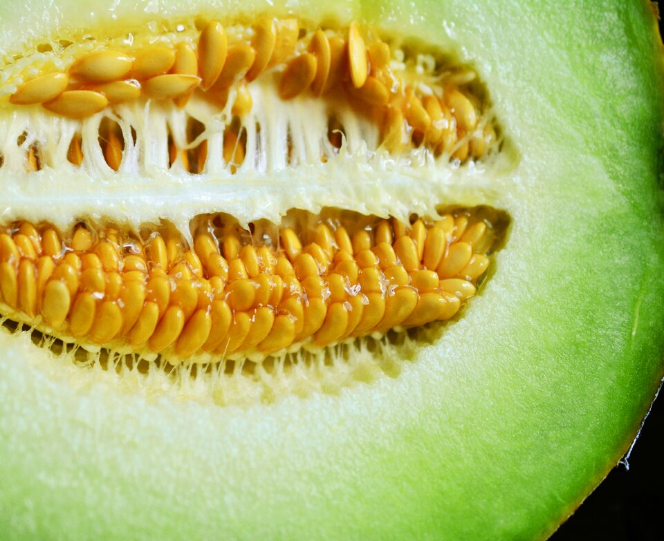 Muskmelon fruit sliced