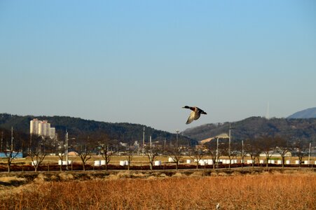 Remote central nature new photo