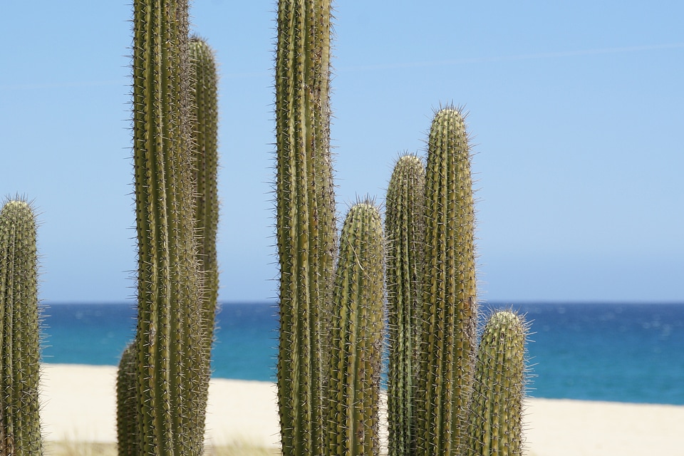 Sand dessert beach