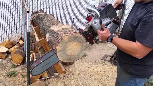 Tree trimming tools woodcutter