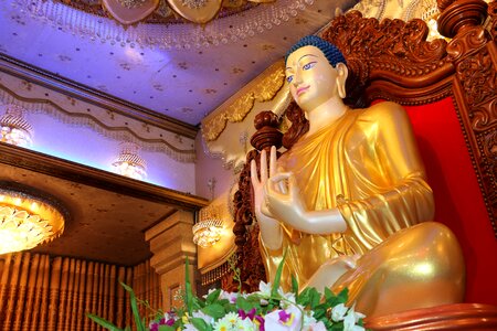 Buddha brown buddha