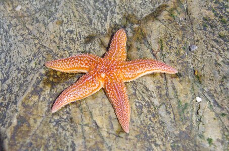 Nature ocean holiday