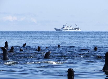 Harem sea ​​stones calm photo