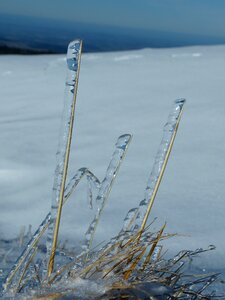 Ice frozen wind