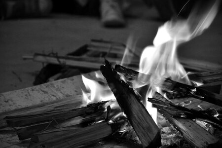 Wood in flames night campfire
