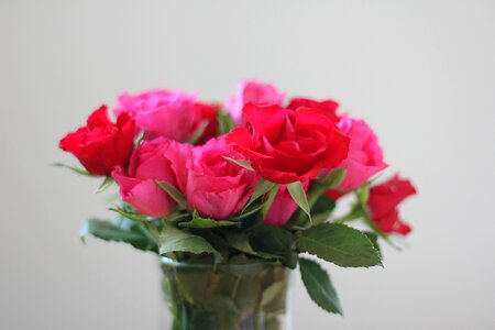 Pink bouquet bouquet of roses photo