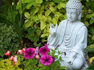 Buddhism zen peace photo
