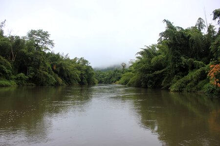 River in asia thailand jungle photo