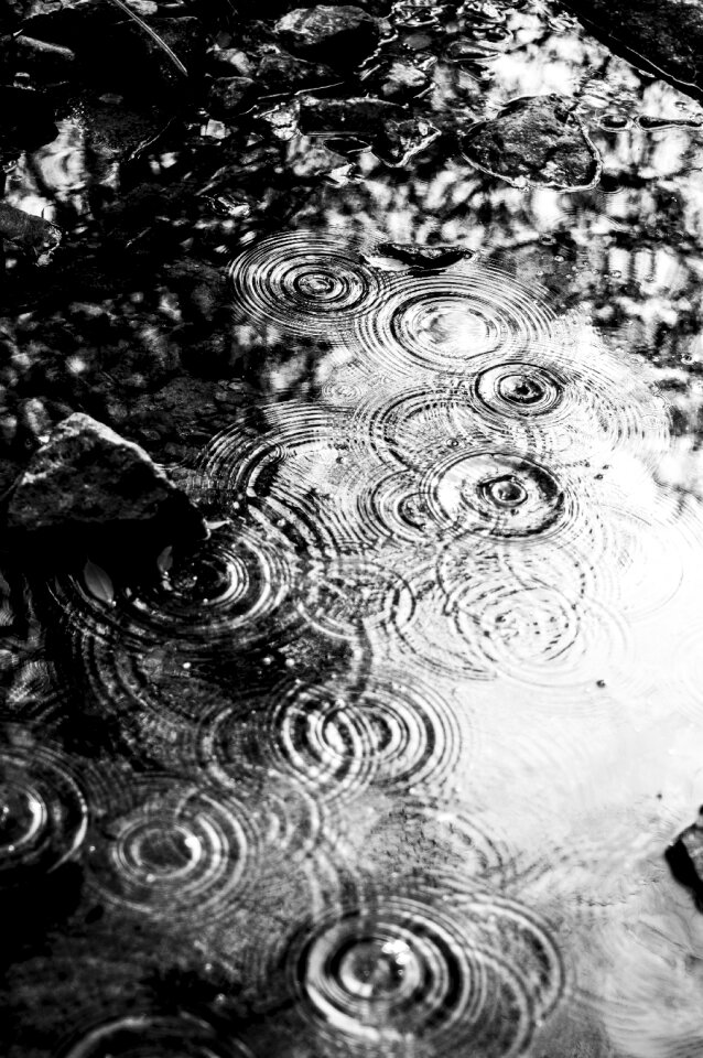 倒影 水滴 雨