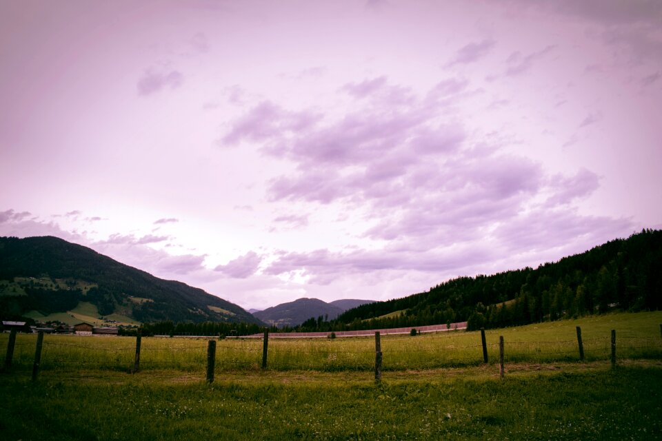 Purple sky purple alm