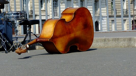 Instrument stringed instrument plucked string instrument