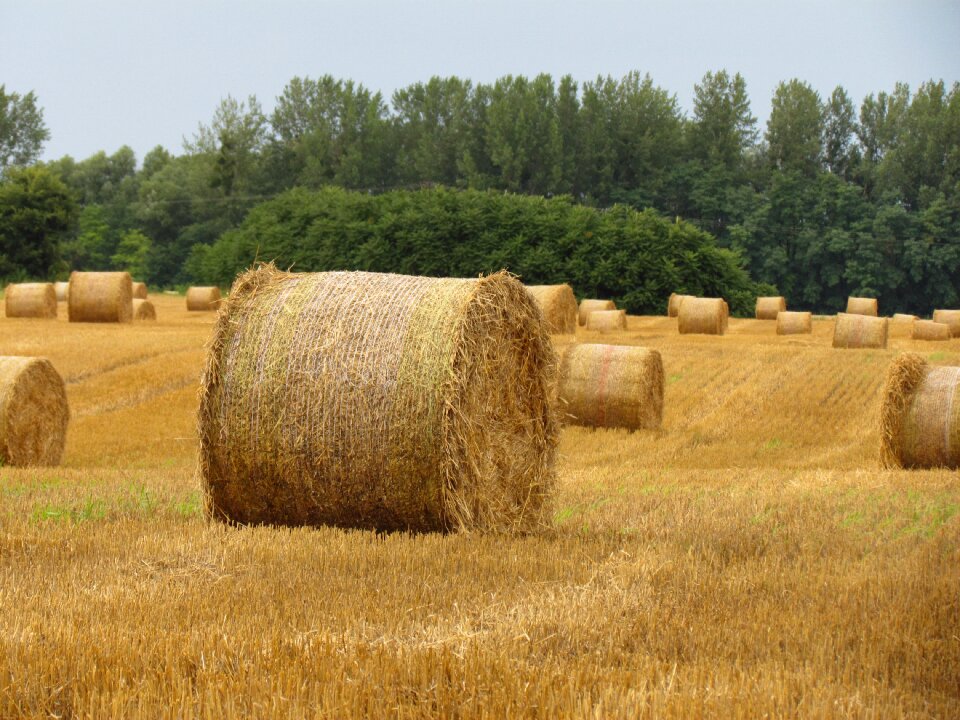 Straw bale arable land stubble