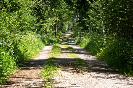 Trail hiking leisure