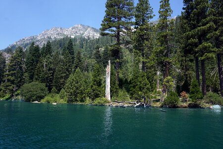 Summer nature mountains