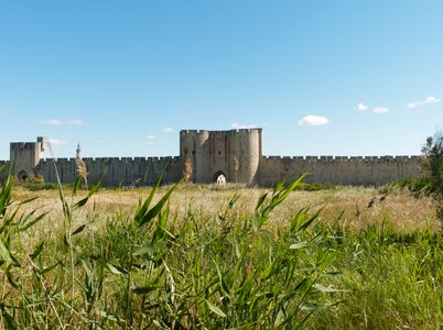 Acute dead heritage fortification
