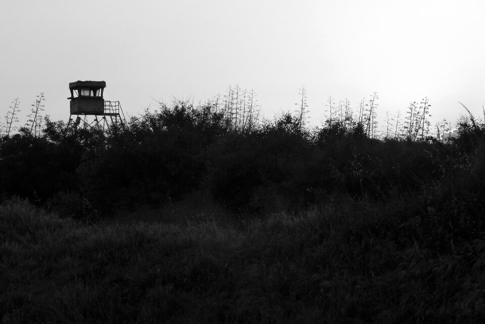 Light and shadow dune