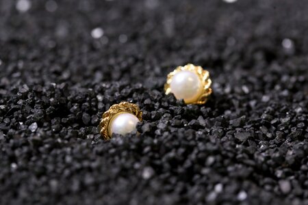 Jewelry jewellery earrings