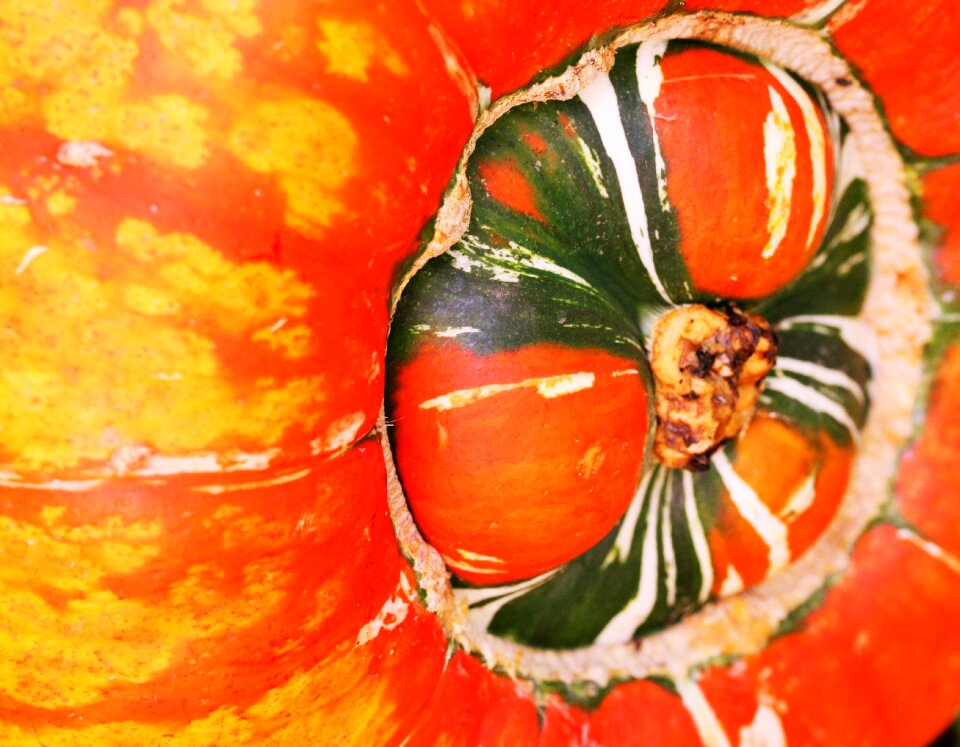 Fall orange vegetable